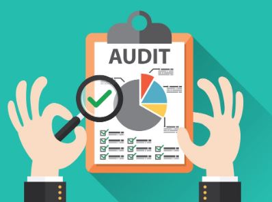 What are the AUDIT Procedures